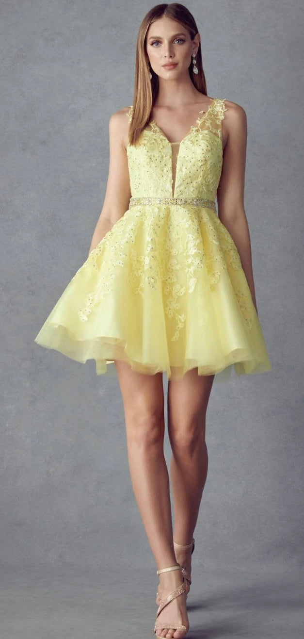 Juliet 853 Homecoming Short Dress Floral Lace Applique A-Line
