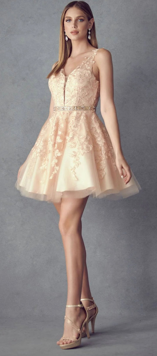 Juliet 853 Homecoming Short Dress Floral Lace Applique A-Line
