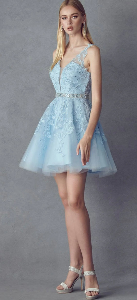 Juliet 853 Homecoming Short Dress Floral Lace Applique A-Line